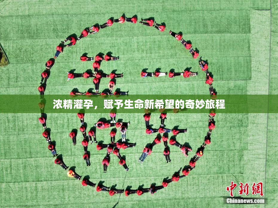 浓精灌孕，赋予生命新希望的奇妙旅程