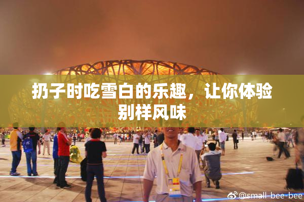 扔子时吃雪白的乐趣，让你体验别样风味
