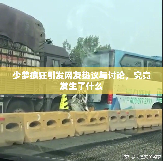 少萝疯狂引发网友热议与讨论，究竟发生了什么