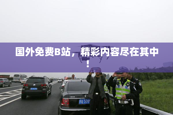 国外免费B站，精彩内容尽在其中！