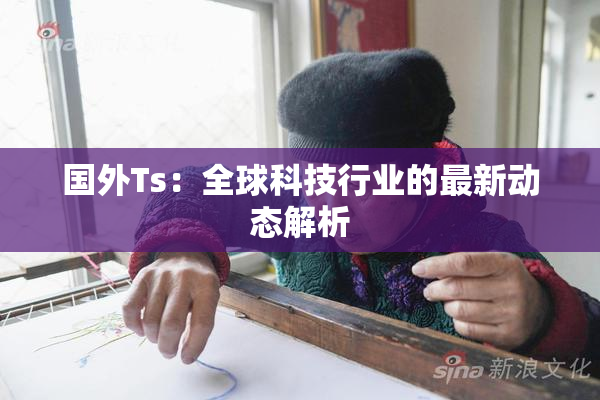国外Ts：全球科技行业的最新动态解析