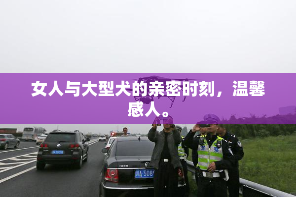 女人与大型犬的亲密时刻，温馨感人。