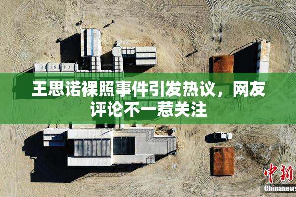王思诺裸照事件引发热议，网友评论不一惹关注