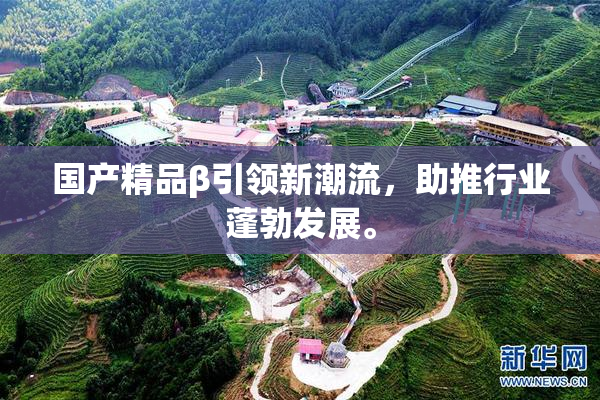国产精品β引领新潮流，助推行业蓬勃发展。