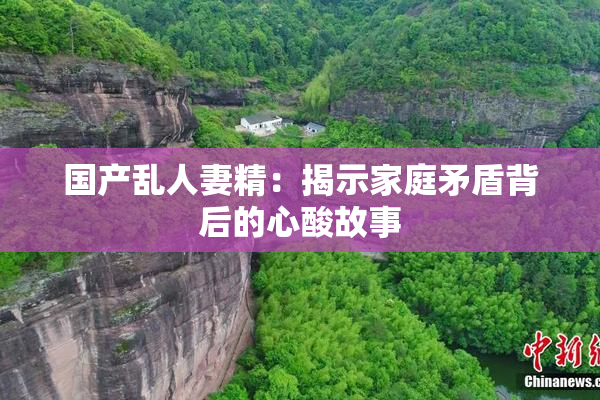 国产乱人妻精：揭示家庭矛盾背后的心酸故事