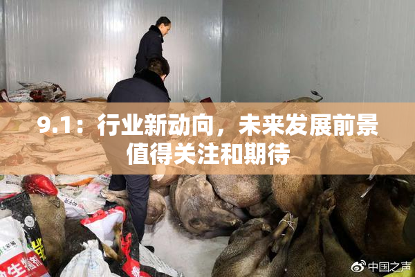 9.1：行业新动向，未来发展前景值得关注和期待