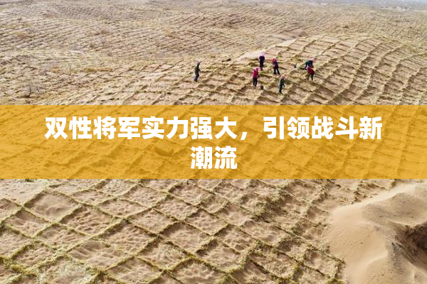 双性将军实力强大，引领战斗新潮流