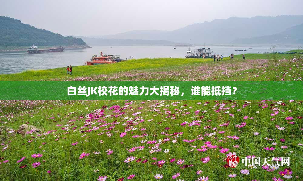 白丝JK校花的魅力大揭秘，谁能抵挡？