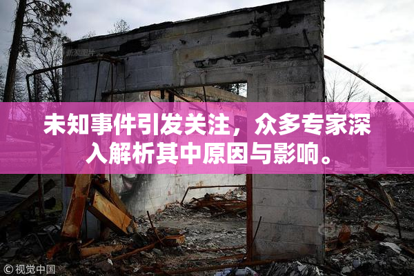 未知事件引发关注，众多专家深入解析其中原因与影响。