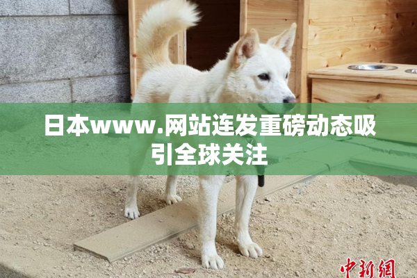 日本www.网站连发重磅动态吸引全球关注