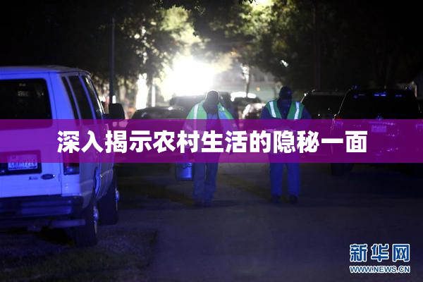 深入揭示农村生活的隐秘一面