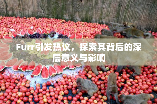 Furr引发热议，探索其背后的深层意义与影响
