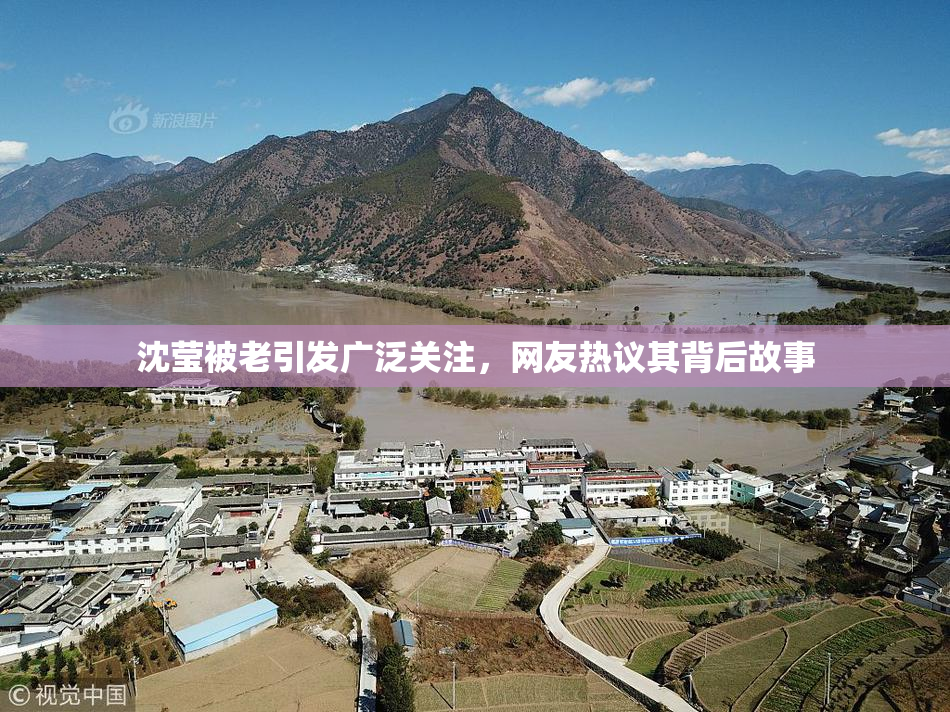 沈莹被老引发广泛关注，网友热议其背后故事