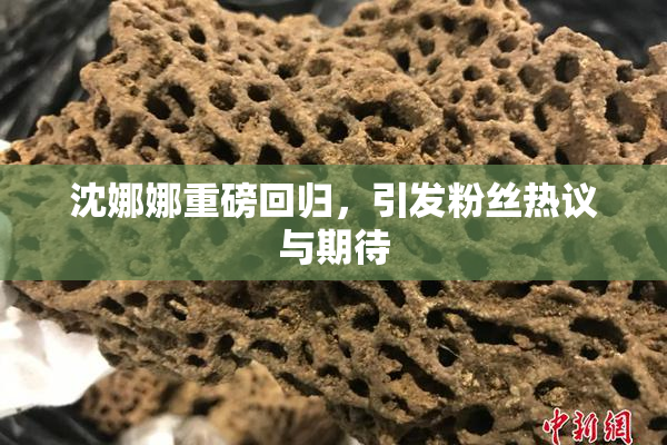 沈娜娜重磅回归，引发粉丝热议与期待
