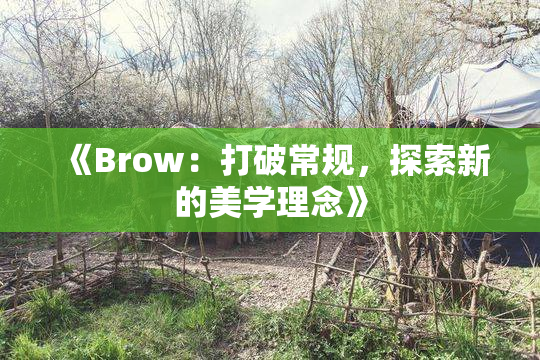 《Brow：打破常规，探索新的美学理念》