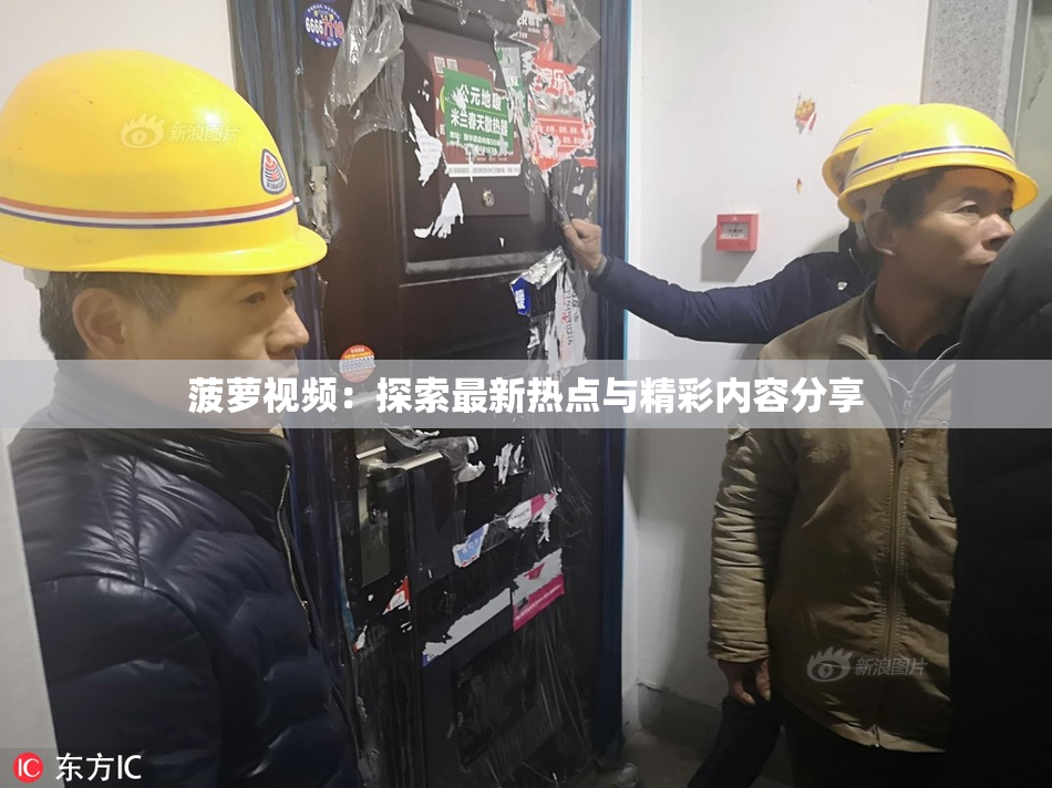菠萝视频：探索最新热点与精彩内容分享