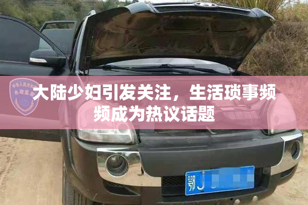 大陆少妇引发关注，生活琐事频频成为热议话题