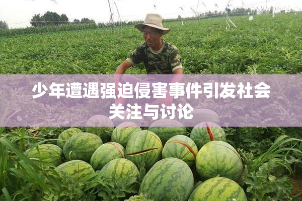 少年遭遇强迫侵害事件引发社会关注与讨论