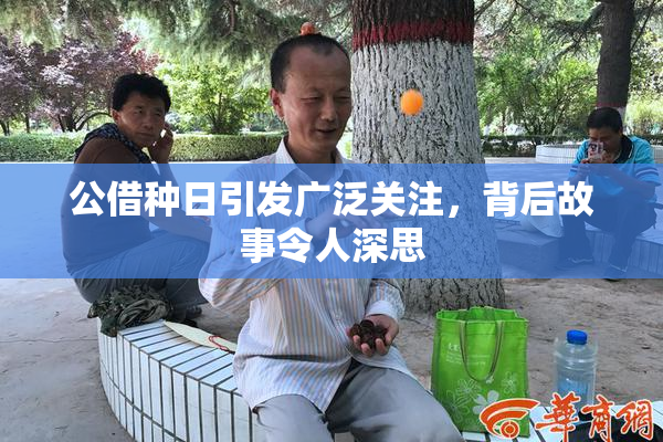 公借种日引发广泛关注，背后故事令人深思