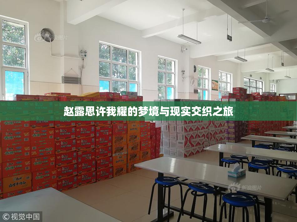 赵露思许我耀的梦境与现实交织之旅