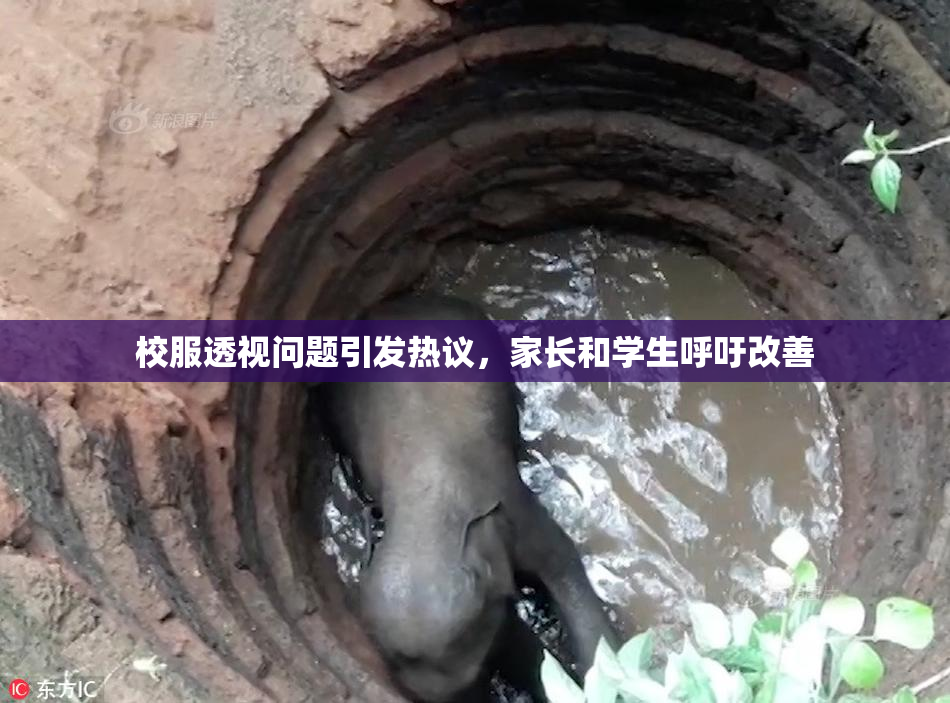 校服透视问题引发热议，家长和学生呼吁改善