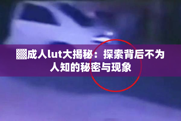 ▓成人lut大揭秘：探索背后不为人知的秘密与现象