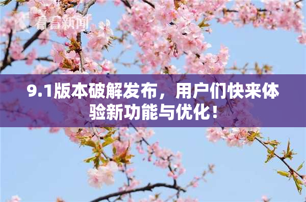 9.1版本破解发布，用户们快来体验新功能与优化！