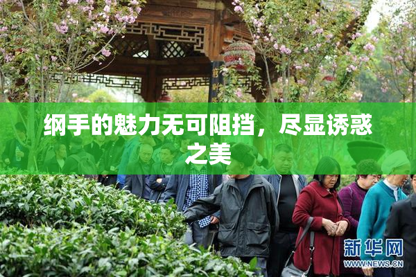 纲手的魅力无可阻挡，尽显诱惑之美