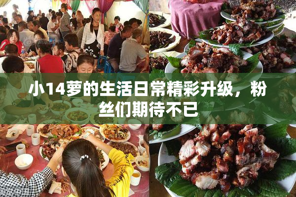 小14萝的生活日常精彩升级，粉丝们期待不已