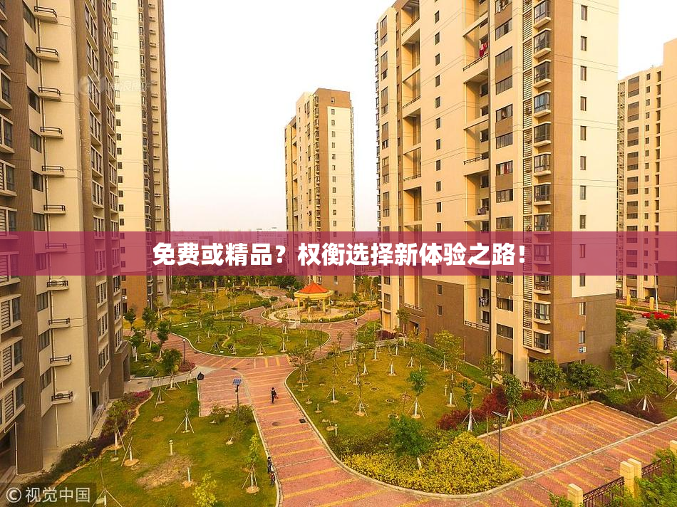 免费或精品？权衡选择新体验之路！
