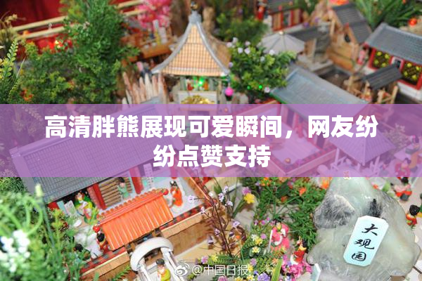 高清胖熊展现可爱瞬间，网友纷纷点赞支持