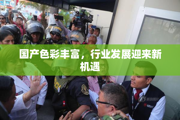国产色彩丰富，行业发展迎来新机遇