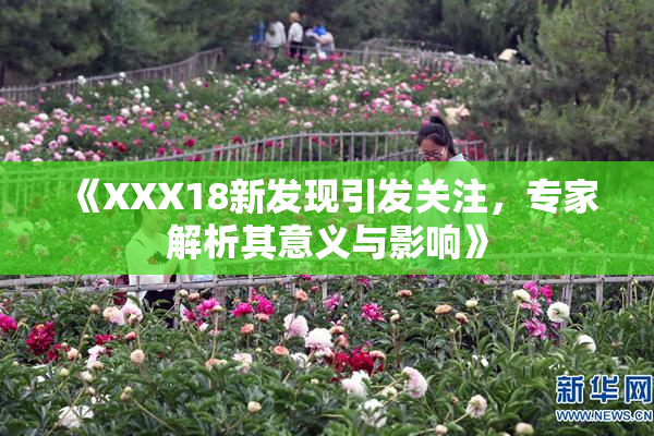 《XXX18新发现引发关注，专家解析其意义与影响》