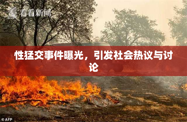 性猛交事件曝光，引发社会热议与讨论