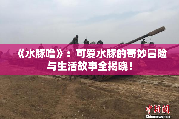 《水豚噜》：可爱水豚的奇妙冒险与生活故事全揭晓！