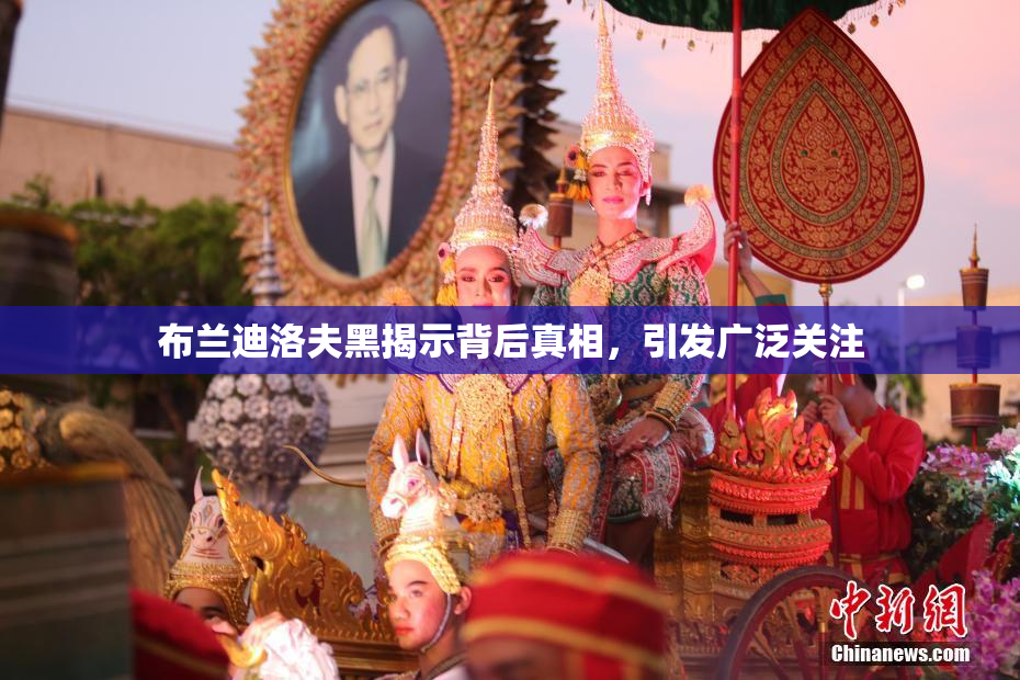 布兰迪洛夫黑揭示背后真相，引发广泛关注