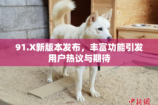91.X新版本发布，丰富功能引发用户热议与期待