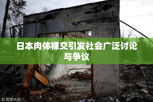 日本肉体裸交引发社会广泛讨论与争议