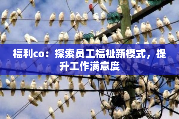 福利co：探索员工福祉新模式，提升工作满意度