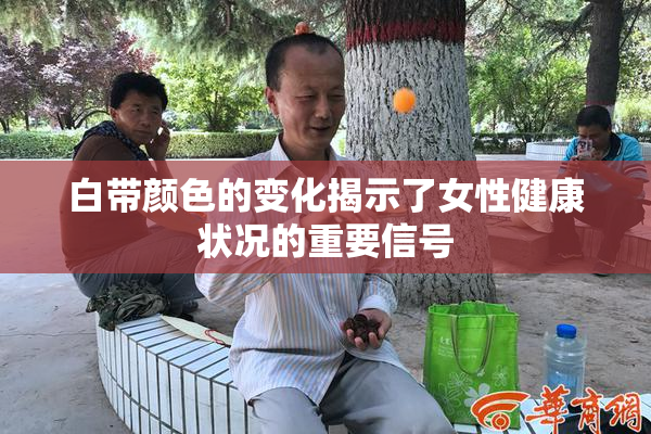 白带颜色的变化揭示了女性健康状况的重要信号