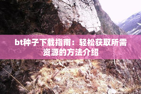 bt种子下载指南：轻松获取所需资源的方法介绍