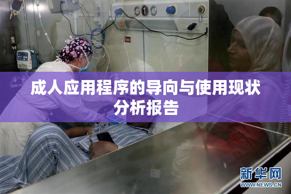 成人应用程序的导向与使用现状分析报告
