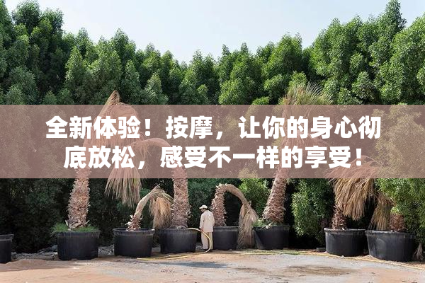 全新体验！按摩，让你的身心彻底放松，感受不一样的享受！