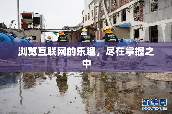 浏览互联网的乐趣，尽在掌握之中