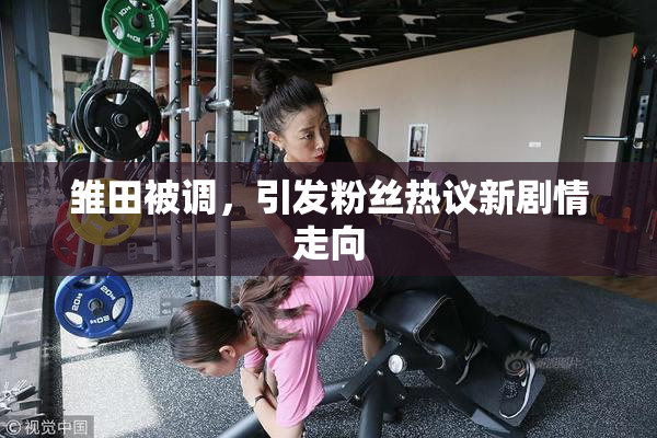 雏田被调，引发粉丝热议新剧情走向