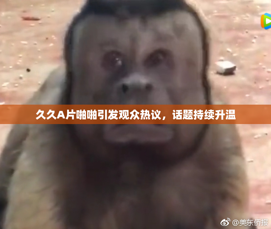久久A片啪啪引发观众热议，话题持续升温