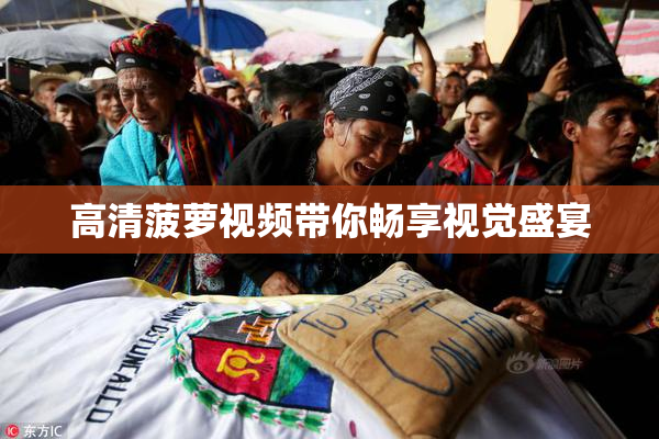 高清菠萝视频带你畅享视觉盛宴