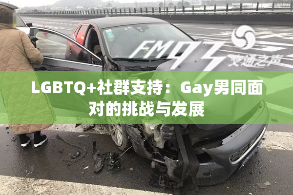 LGBTQ+社群支持：Gay男同面对的挑战与发展