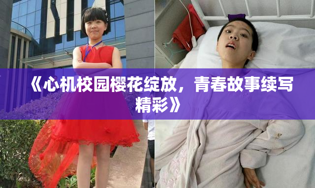 《心机校园樱花绽放，青春故事续写精彩》