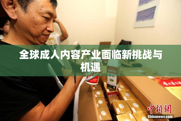 全球成人内容产业面临新挑战与机遇